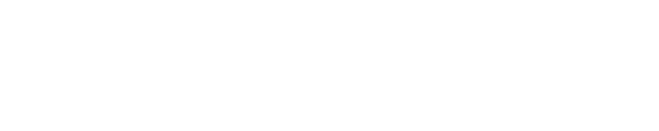 The Sewer Pros
